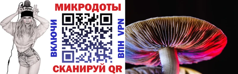 цена   Монино  Псилоцибиновые грибы Psilocybine cubensis 